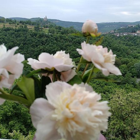 Dervent Apartment Veliko Tarnovo Extérieur photo