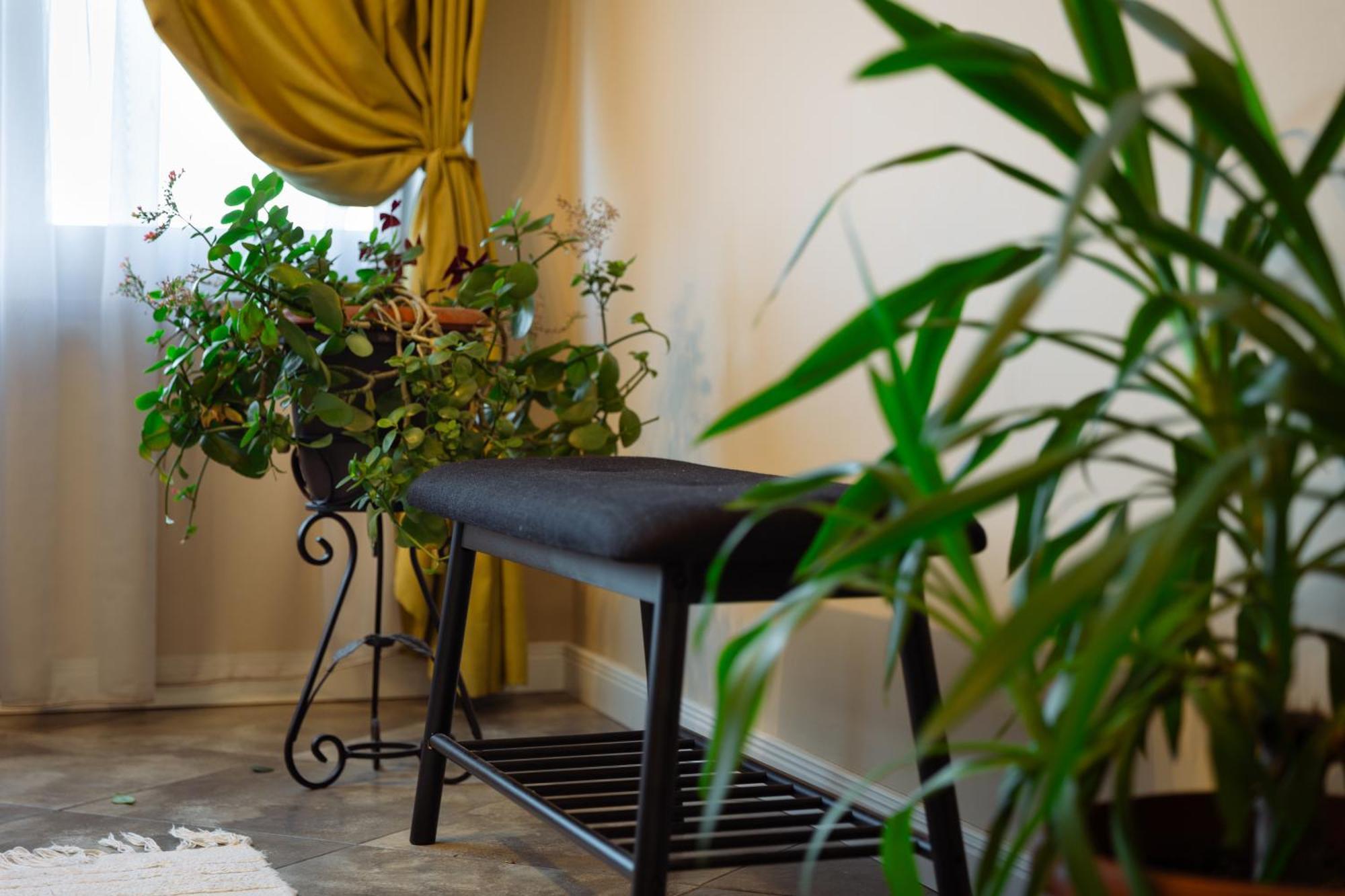 Dervent Apartment Veliko Tarnovo Extérieur photo